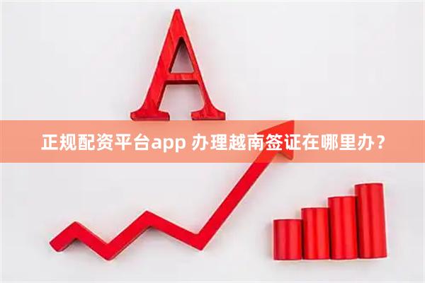 正规配资平台app 办理越南签证在哪里办？