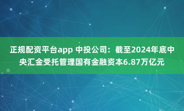 正规配资平台app 中投公司：截至2024年底中央汇金受托管理国有金融资本6.87万亿元