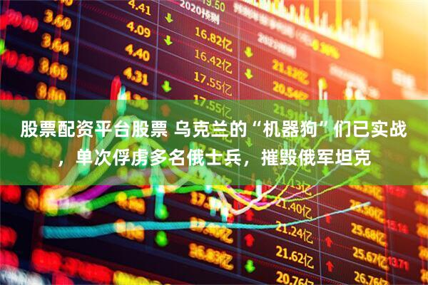 股票配资平台股票 乌克兰的“机器狗”们已实战，单次俘虏多名俄士兵，摧毁俄军坦克